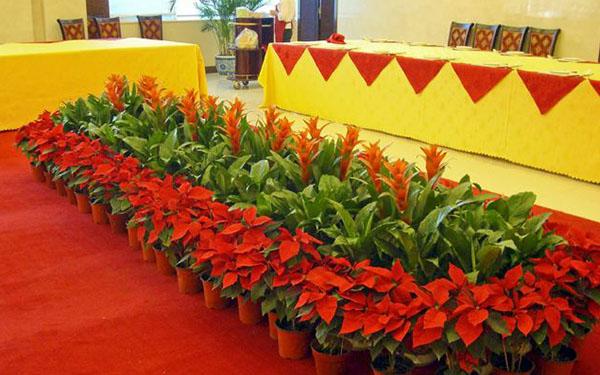 會(huì)場(chǎng)租擺